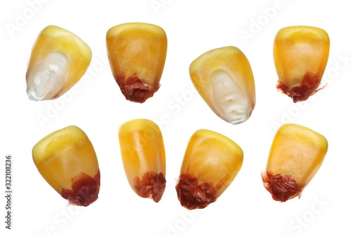 Bild auf Leinwand Set macro kernel corn isolated on white background, clipping path