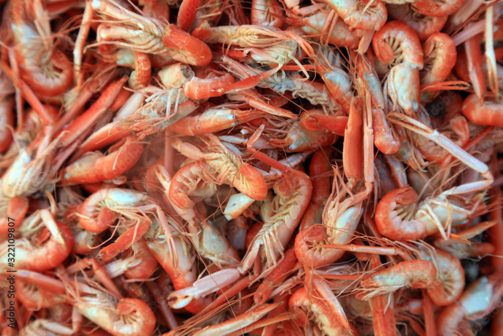 Cooked Claw Shrimp Cooked Claw Shrimp