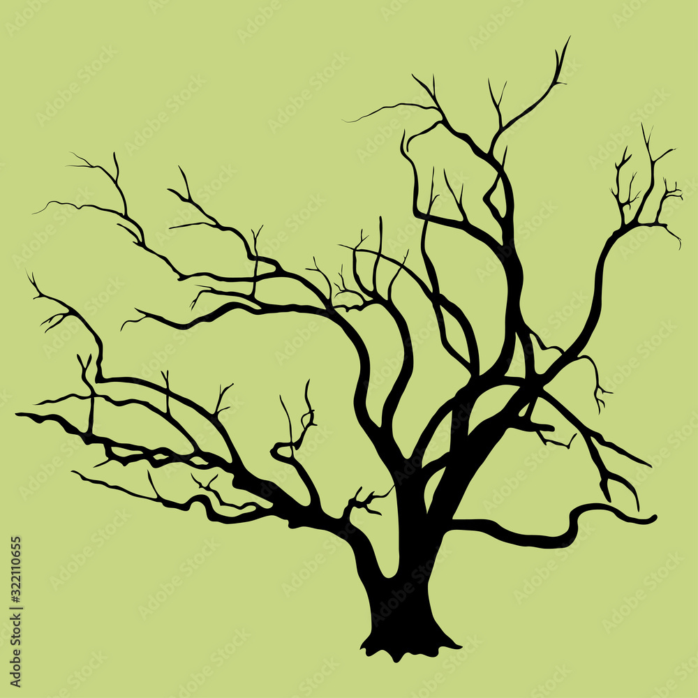 Black vector silhouette of skeletal branches of a willow deciduous tree. An old tree with a thick trunk at the base, very branchy, isolated on a light background. Black vector silhouette of skeletal branches of a willow deciduous tree. An old tree with a thick trunk at the base, very branchy, isolated on a light background.