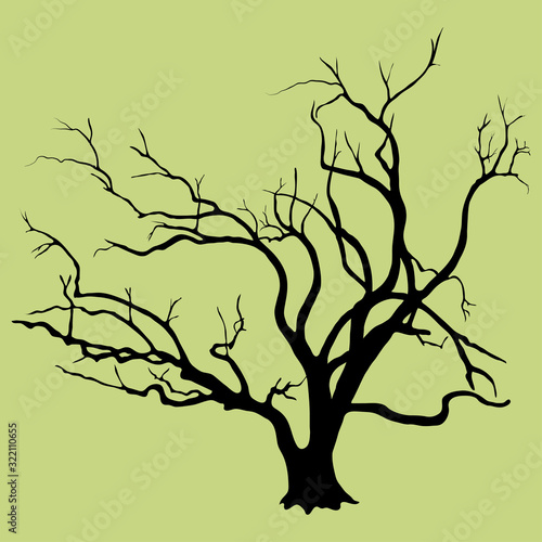 Black vector silhouette of skeletal branches of a willow deciduous tree. An old tree with a thick trunk at the base, very branchy, isolated on a light background.