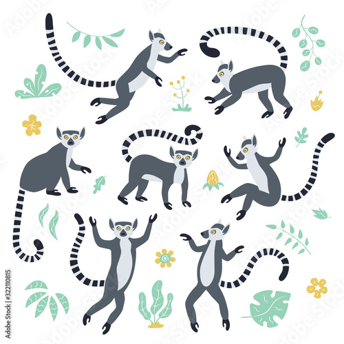 Fototapeta Naklejka Na Ścianę i Meble -  Cute funny ring-tailed lemurs and tropical plants. Exotic Lemur catta. Set of vector illustrations in cartoon and flat style isolated on white background