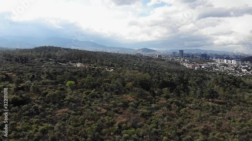 Tlalpan forest ecological reserve, south of Mexico City. photo