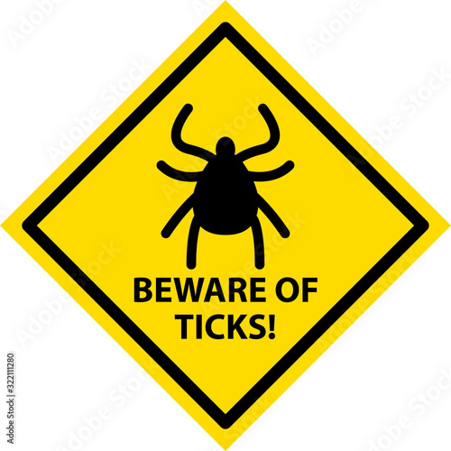 Tick icon insect icon, vector illustration photo