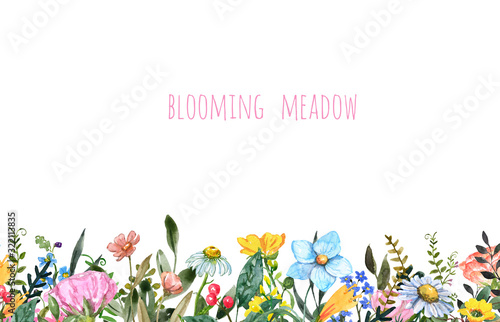 Horizontal wildflower border. Bright colorful summer flowers, greenery leaves...