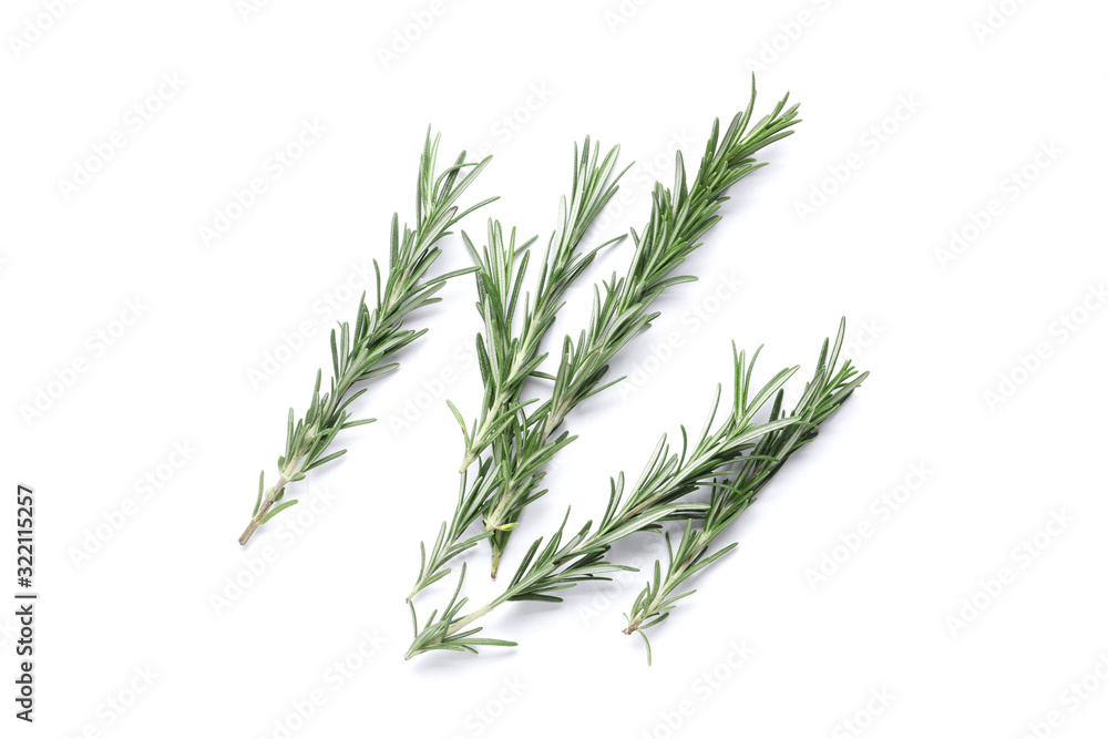 Fresh green rosemary isolated on white background Fresh green rosemary isolated on white background
