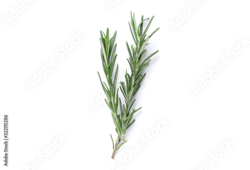 Fresh green rosemary isolated on white background
