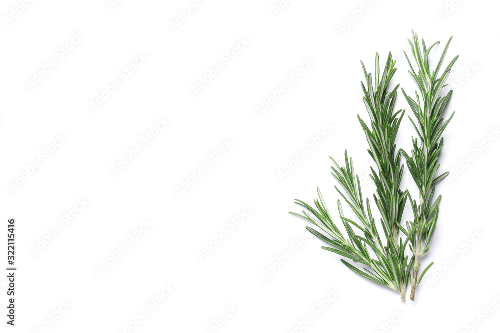 Flat lay composition with rosemary on white background, space for text Flat lay composition with rosemary on white background, space for text