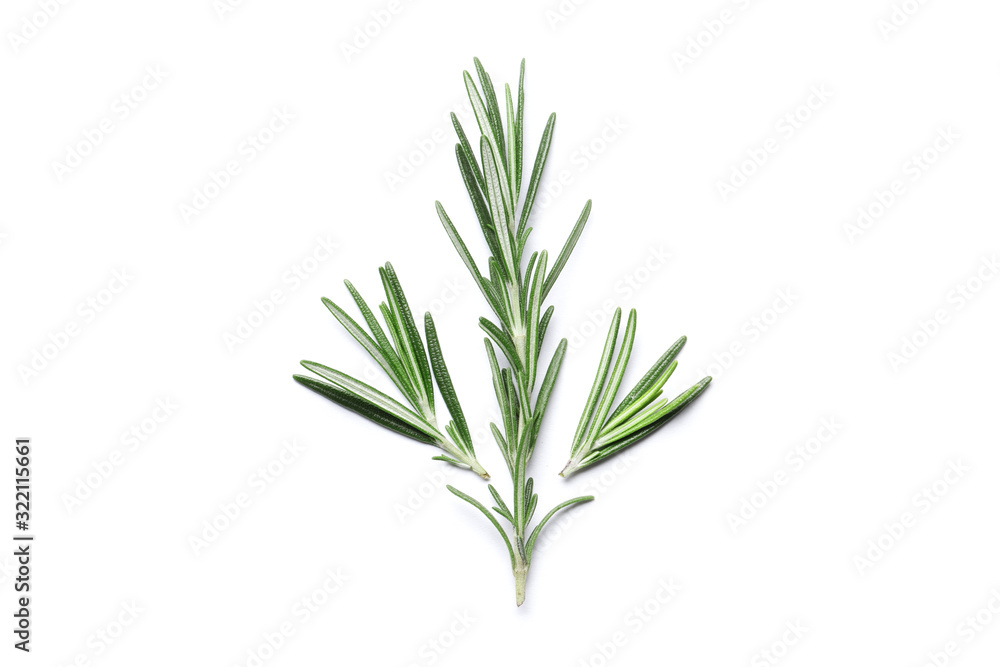 Flat lay composition with rosemary on white background, space for text