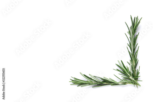 Flat lay composition with rosemary on white background  space for text