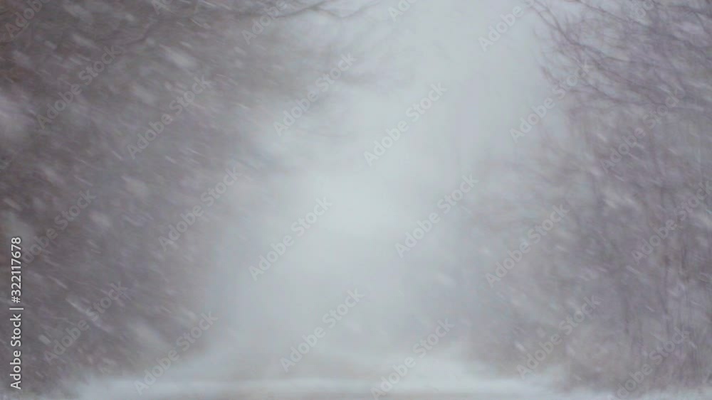Forest winter road in a blizzard. View of the forest road in heavy snow. Forest winter road in a blizzard. View of the forest road in heavy snow.