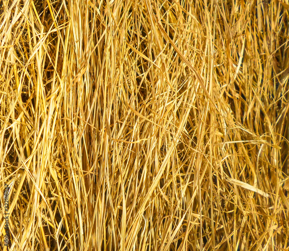 dry grass, a lot of hay background pattern. autumn harvest dry grass, a lot of hay background pattern. autumn harvest