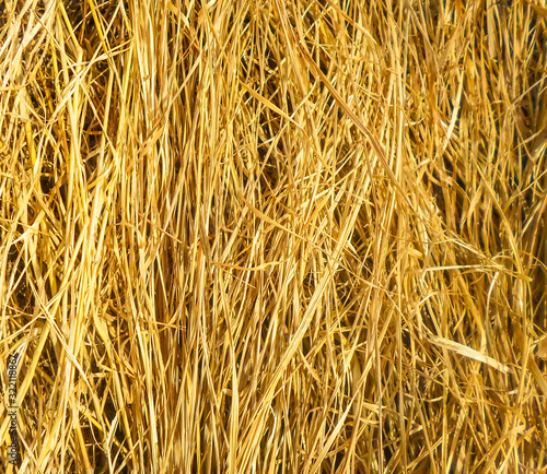 dry grass  a lot of hay background pattern. autumn harvest