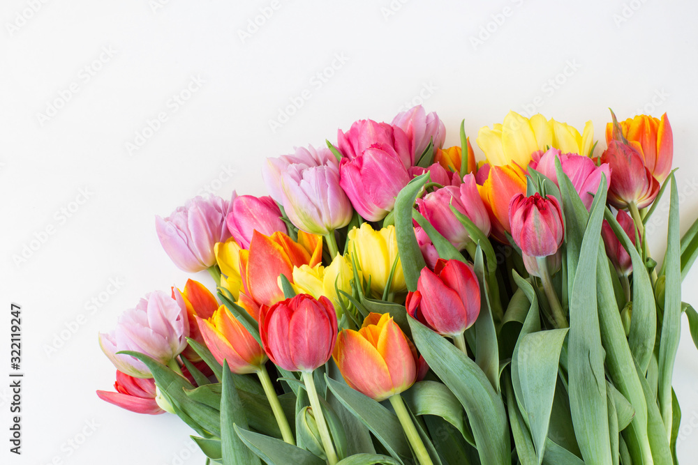 on white background bouquet of multicolored tulips on white background bouquet of multicolored tulips