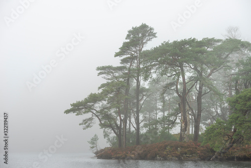 Beautiful mody Autumn Fall landscape of woodland and lake with mist fog during early morning photo