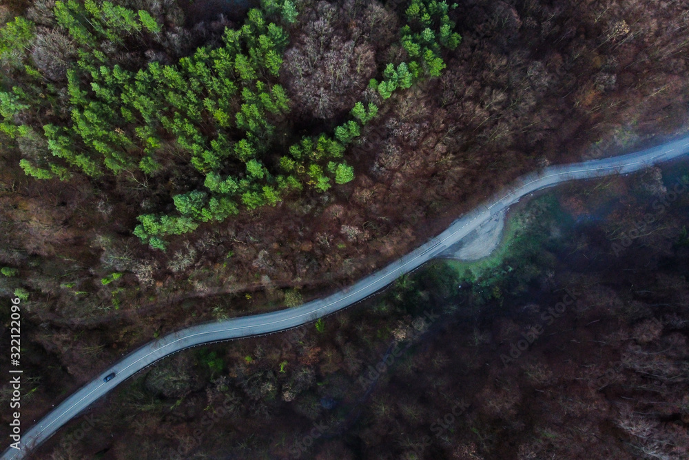 aerial view of road in forest aerial view of road in forest