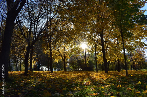 autumn in the park