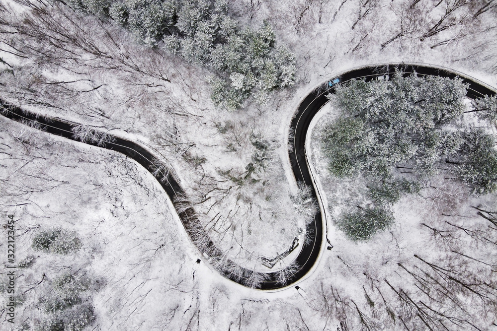 aerial view of road in forest