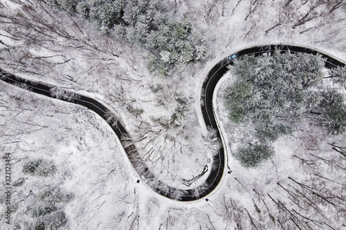 aerial view of road in forest © Zoran Jesic