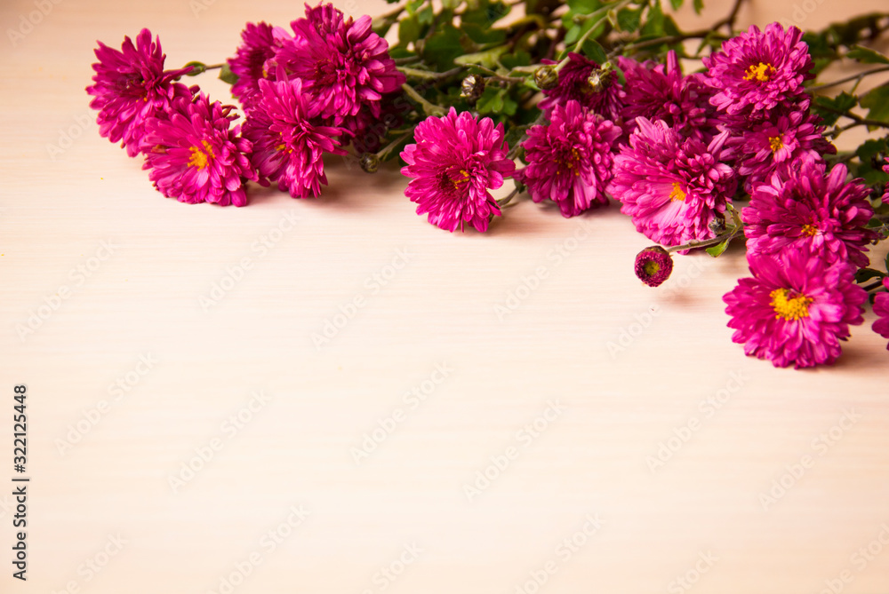 Obraz premium Flower background, copy space. 8 March, mother day, Valentines day background. Pink chrysanthemum flowers on white wooden background. Flowers composition. Summer flower. Congratulations background.