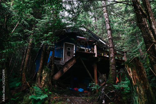 Wood cabin in the forest