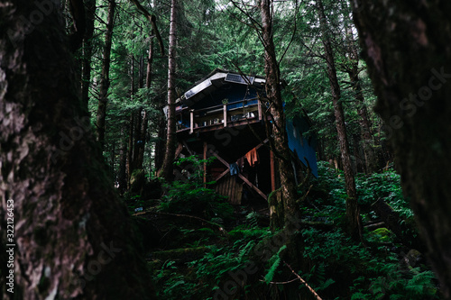 Wood cabin in the forest