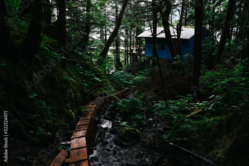Wood cabin in the forest