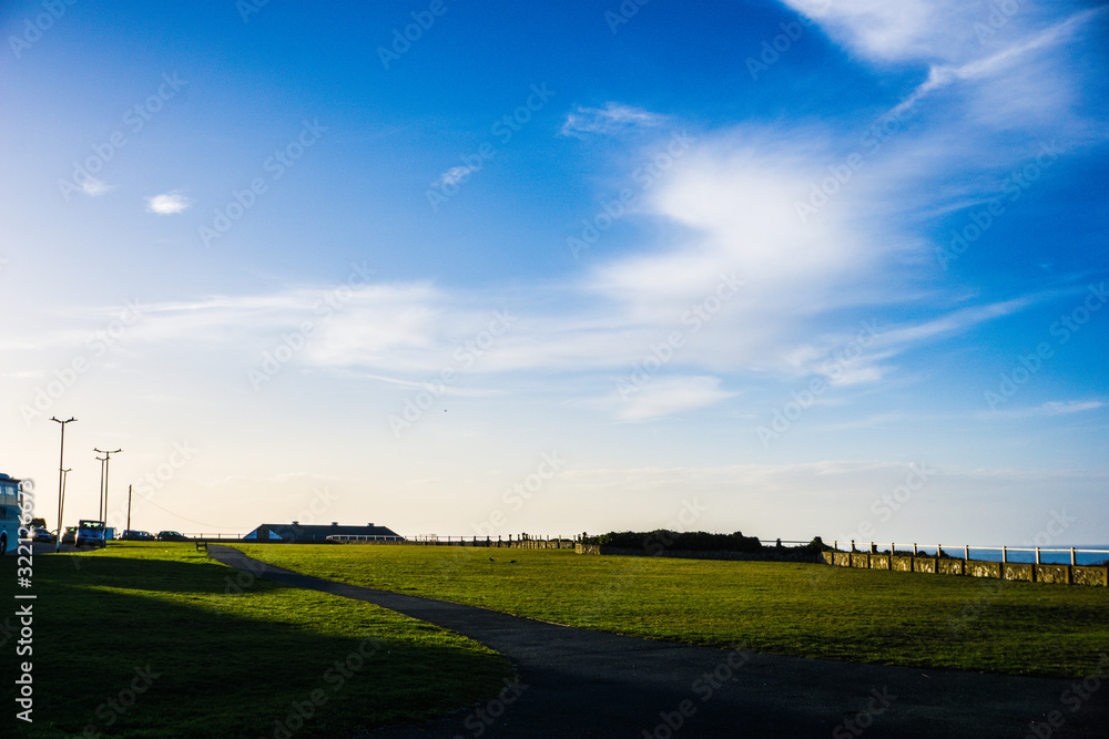 Obraz premium Wallpaper, grass field in Kent, UK