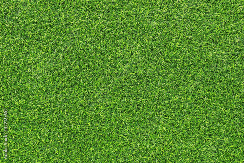 Top view of the green lawn grass. Modern trendy abstract natural texture background