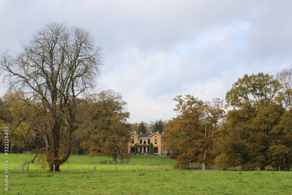 Obraz premium Nieuw Rande, Diepenveen, Overijssel, Holandia