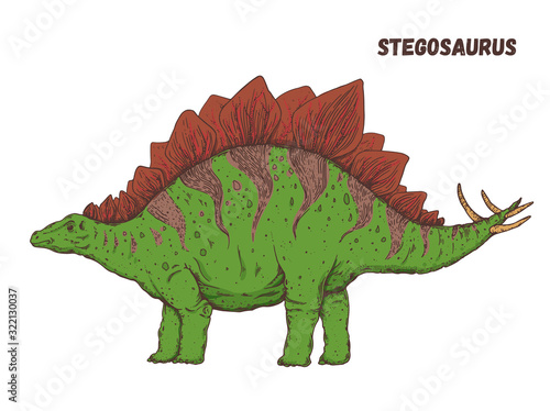 Stegosaurus dinosaur hand drawn. Vector illustration. Herbivorous dinosaur. Cartoon illustrration