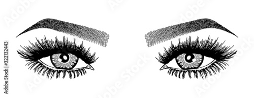 Illustration with woman's eyes, eyelashes and eyebrows. Makeup Look. Tattoo design. Logo for brow bar or lash salon.