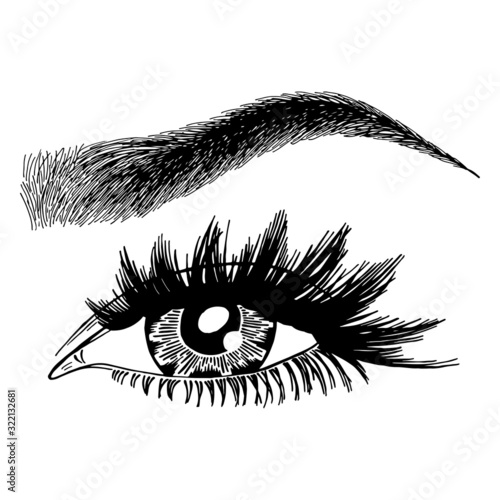 Illustration with woman's eye, eyelashes and eyebrow. Makeup Look. Tattoo design. Logo for brow bar or lash salon.