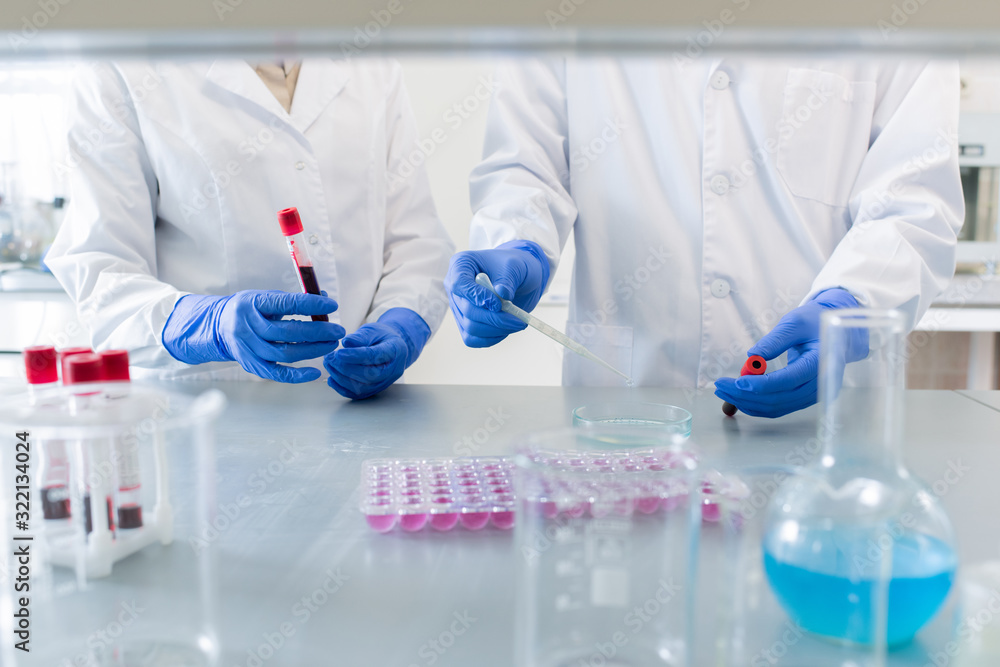 Fototapeta premium Two unrecognizable pharmacologists wearing protective white coats and gloves working together on new vaccine in modern laboratory