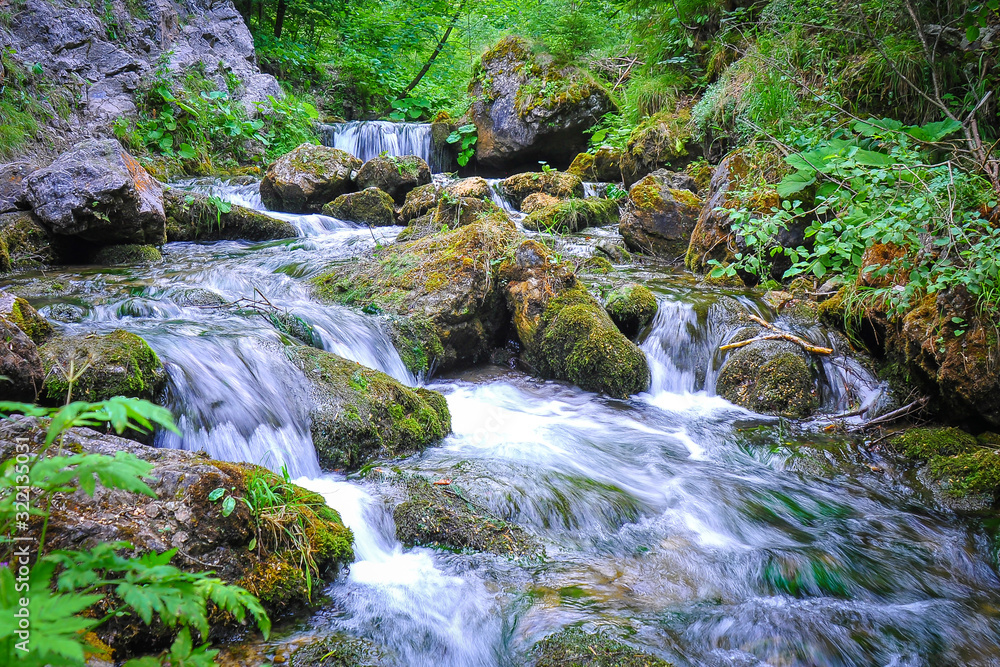 Mountain stream deep in the woods. A view of a mountain stream in The Choč Mountains, Slovakia. Fast water stream in wild mountain creek with wet stones. Spring green nature. 