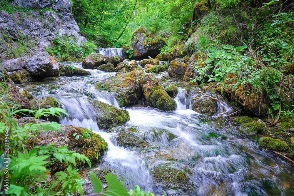 Mountain stream deep in the woods. A view of a mountain stream in The Choč Mountains, Slovakia. Fast water stream in wild mountain creek with wet stones. Spring green nature. 
