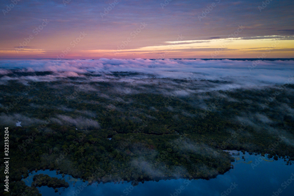 Amazon rainforest seen from above reveals the beauty of its rivers, trees and animals. Pará, Brazil Amazon rainforest seen from above reveals the beauty of its rivers, trees and animals. Pará, Brazil
