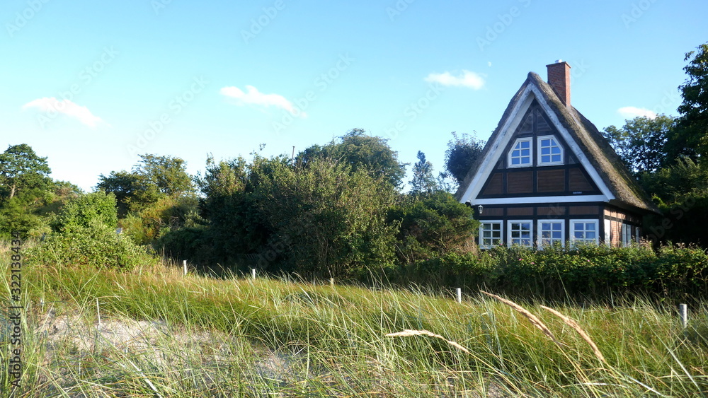 Small cottage with thatched roof between rose hedges by the sea