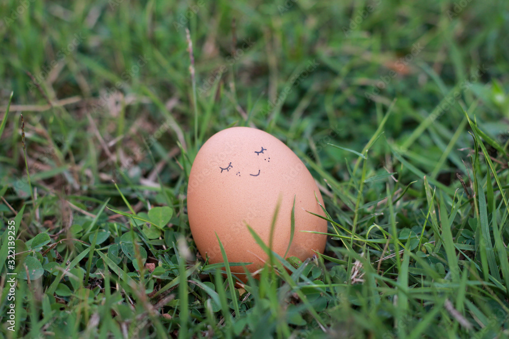 egg in green grass egg in green grass