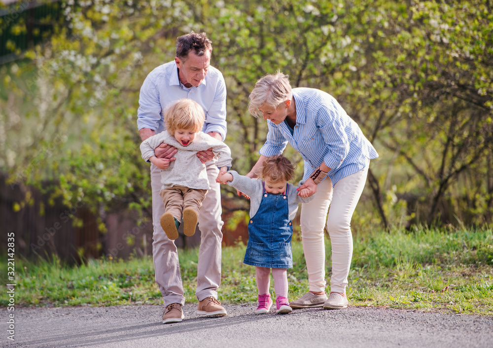 Senior grandparents with toddler grandchildren walking in nature in spring. Senior grandparents with toddler grandchildren walking in nature in spring.