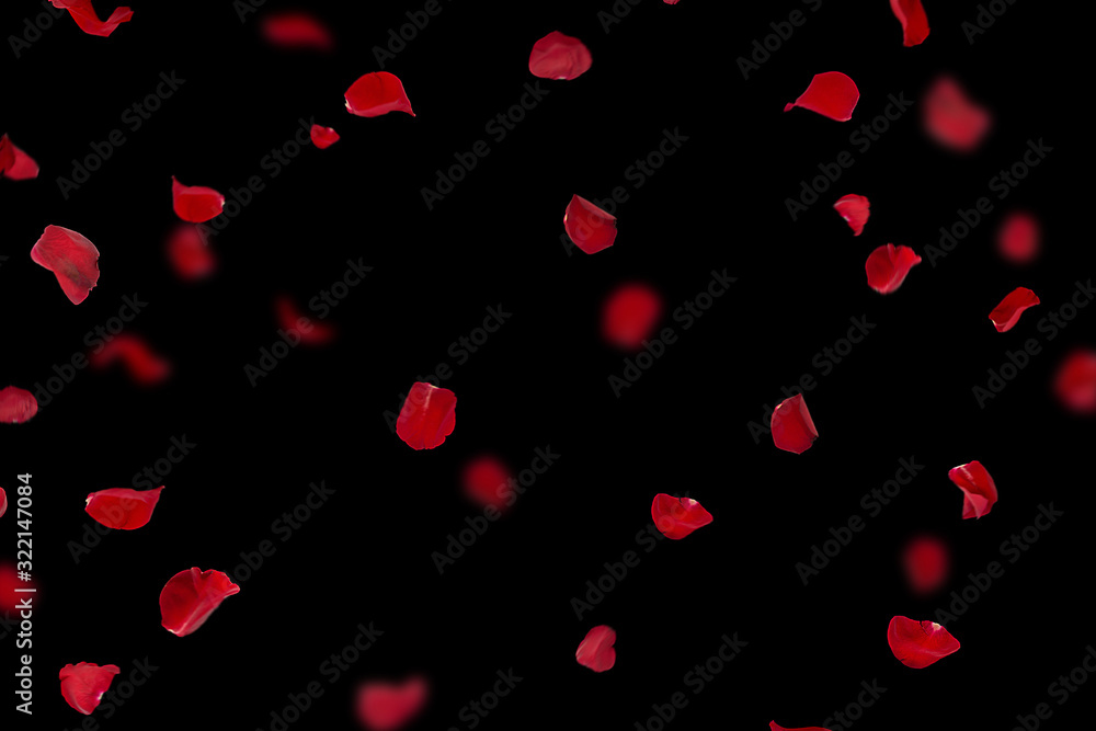Pink Rose Petals Falling Background
