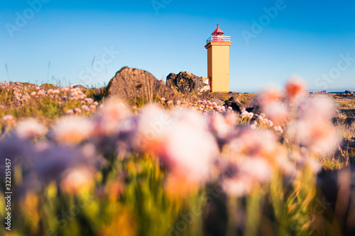 Bright morning view of Stafnesviti lighthouse. Blooming pink flowers on the  foreground. Sunny summer scene of Iceland, Europe. Traveling concept background.. photo