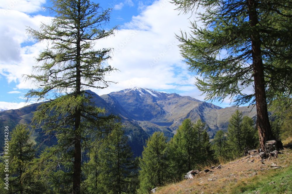 Berg Ultental