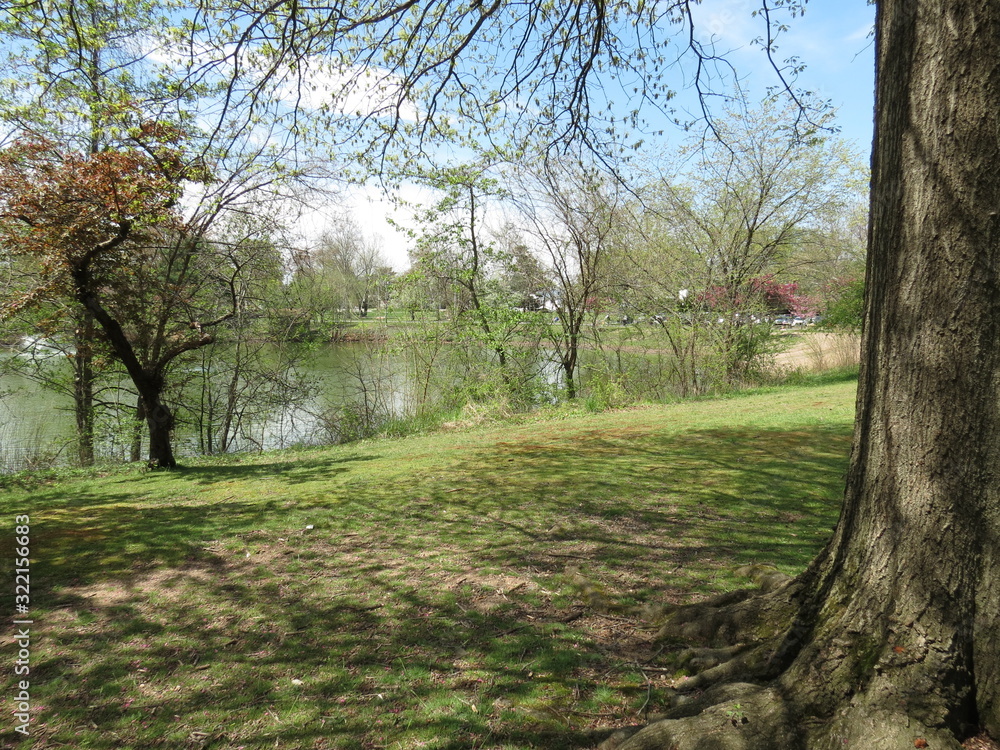 Fototapeta premium path in the park