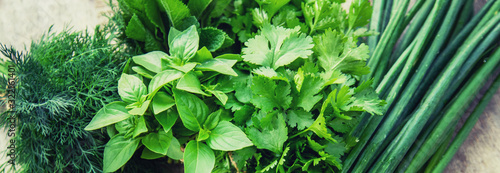 Fototapeta Fresh homemade greens from the garden. Selective focus.