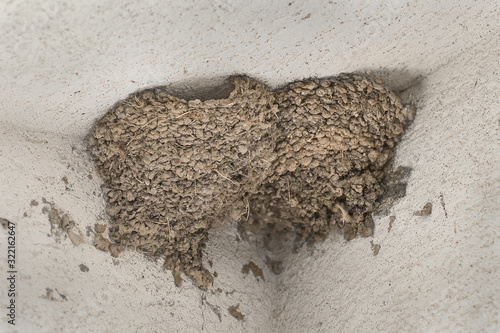 Fotografie Swallow nests in the corner of house walls