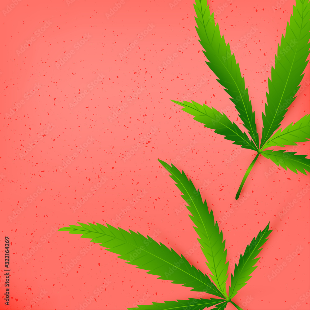 Template poster with realistic cannabis Template poster with realistic cannabis