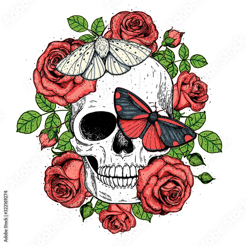 Skull and butterflies hand drawn sketch illustration. Tattoo vintage print. Butterfly, roses and skull vector illustration. Sketch print