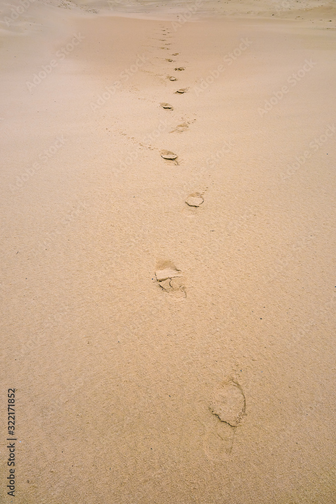 On the wet sea sand, human footprints leading into the distance On the wet sea sand, human footprints leading into the distance