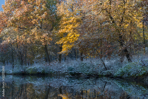 Sunrise on a secluded pond  where first light finds a dusting of snow on the autumn colors.