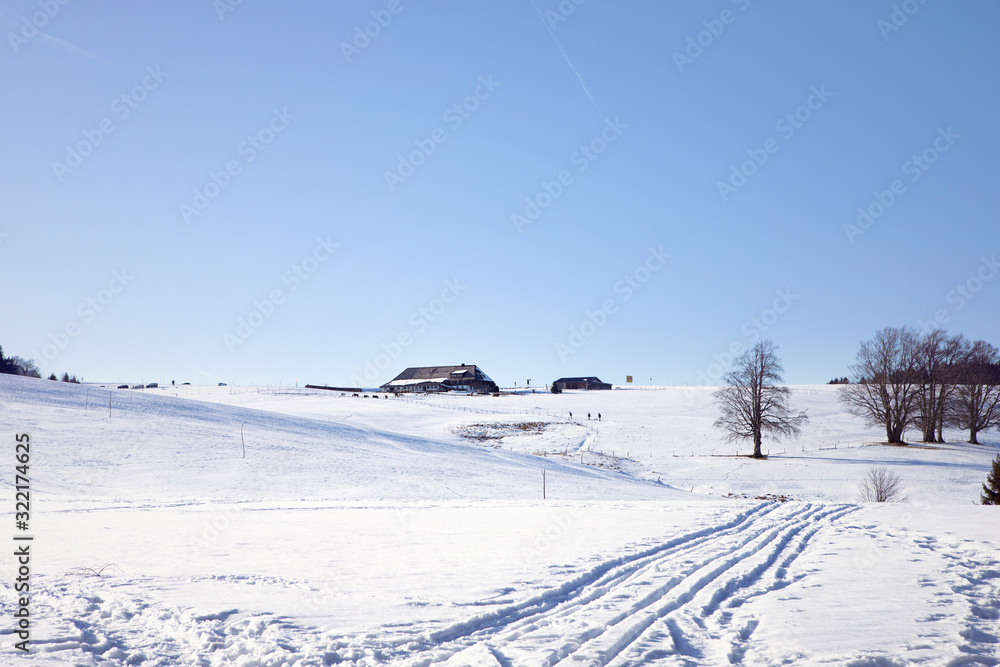 Scenic winter landscape, mountains covered with white snow, dark trees and path in snow leading to the wooden house. Snowy hills.
